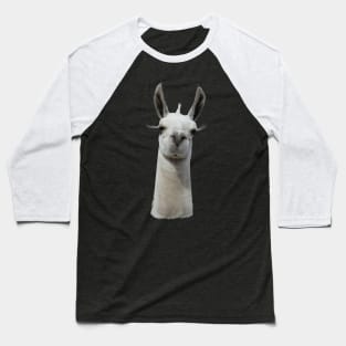 Grumpy Llama Baseball T-Shirt